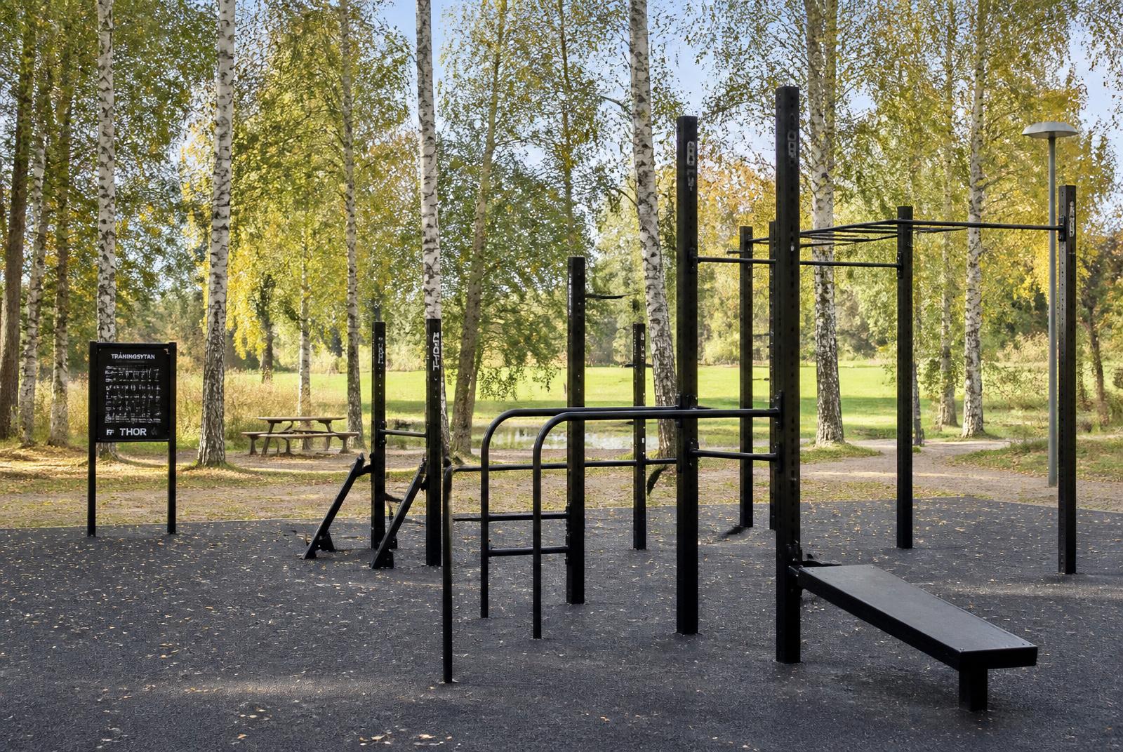 Utegym med chinsräcken och gummiunderlag i en björkdunge